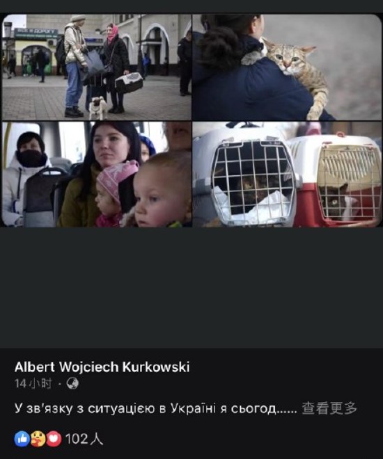 少女怀抱猫咪避难：不管发生什么我都不会丢下你…