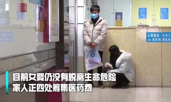 3个月大女婴头皮被啃露出骨头给养宠物带来了什么启示